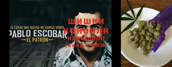 стаф Покачи