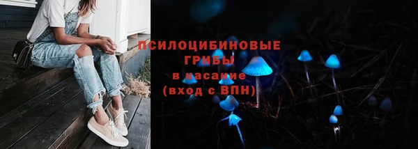 стаф Покачи