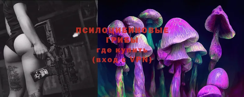 наркошоп  Покров  Псилоцибиновые грибы Magic Shrooms 