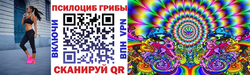 купить  сайты  даркнет клад  Псилоцибиновые грибы ЛСД  Покров 